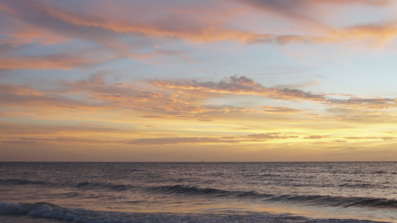 Photo of Others in Indian Rocks Beach