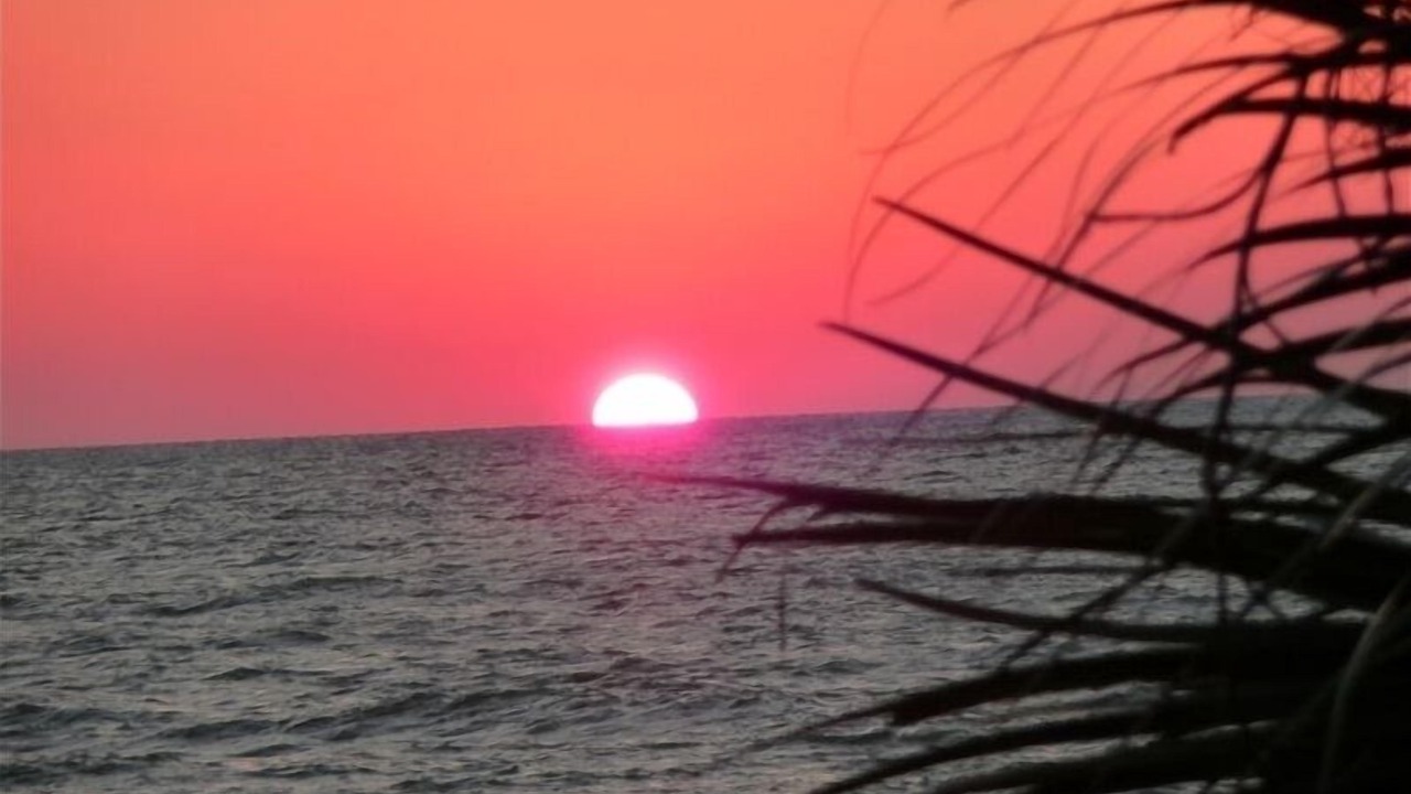 Photo of Patio Balcony in Indian Rocks Beach