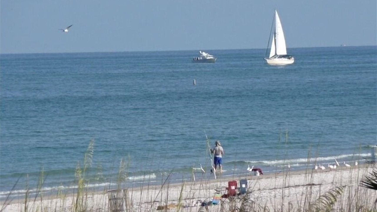 Photo of Others in Indian Rocks Beach