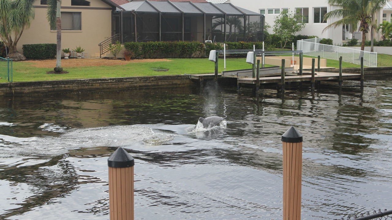 Photo of Others in Town and River