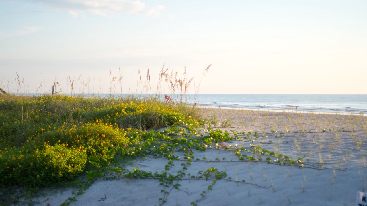 Photo of Others in Jacksonville Beach