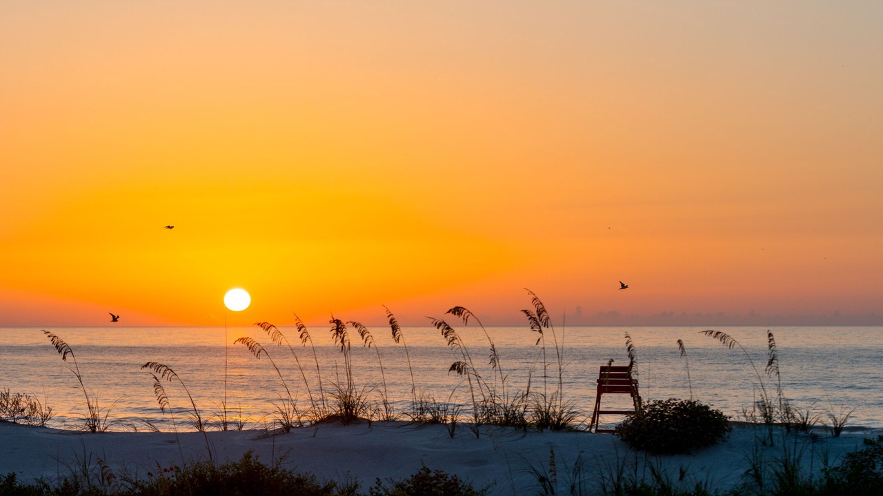 Photo of Others in Jacksonville Beach