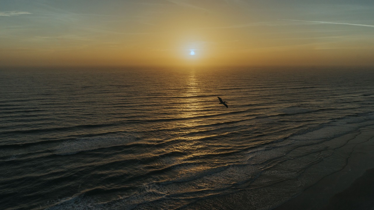 Photo of Others in Daytona Beach