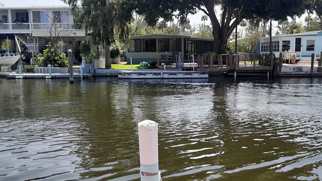 Photo of Others in Crystal River