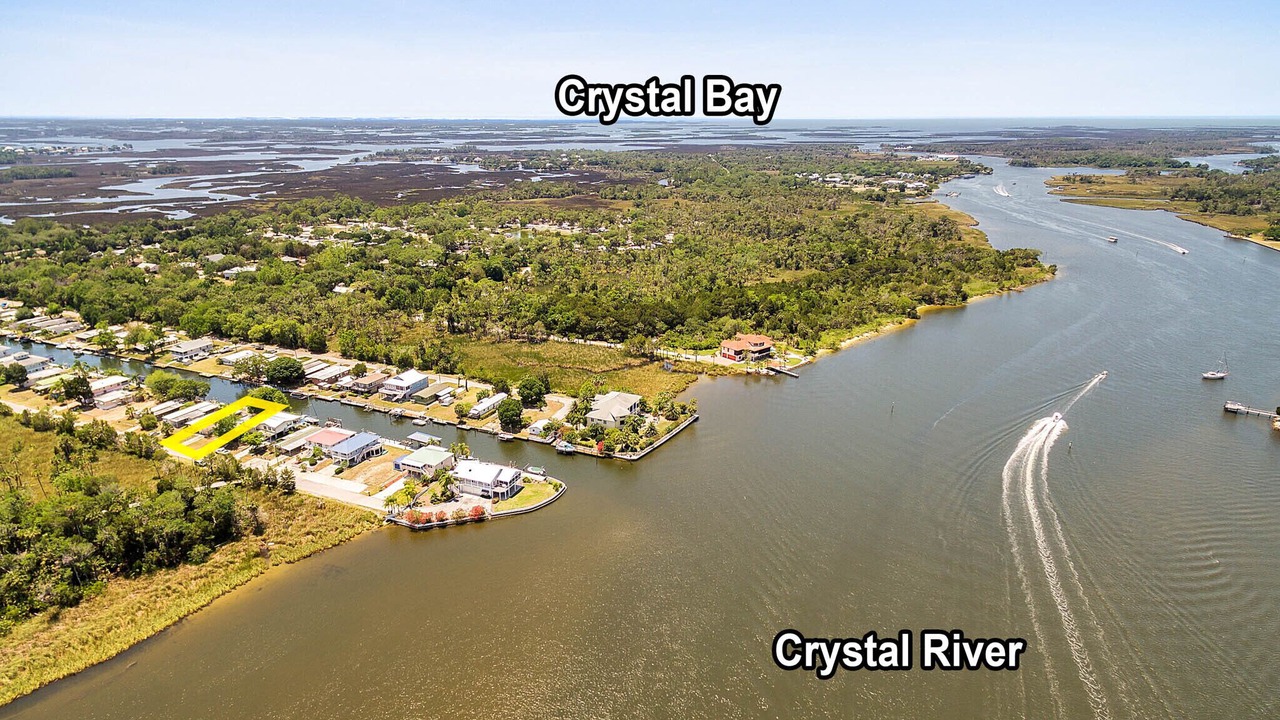 Photo of Others in Crystal River
