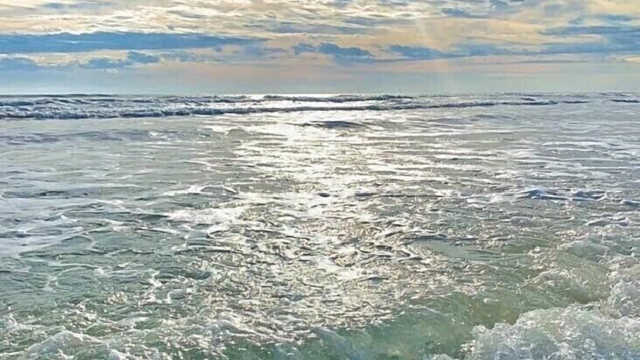 Photo of Others in New Smyrna Beach