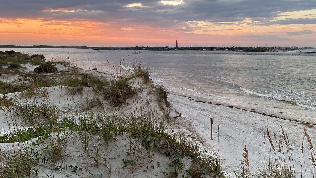 Photo of Others in New Smyrna Beach