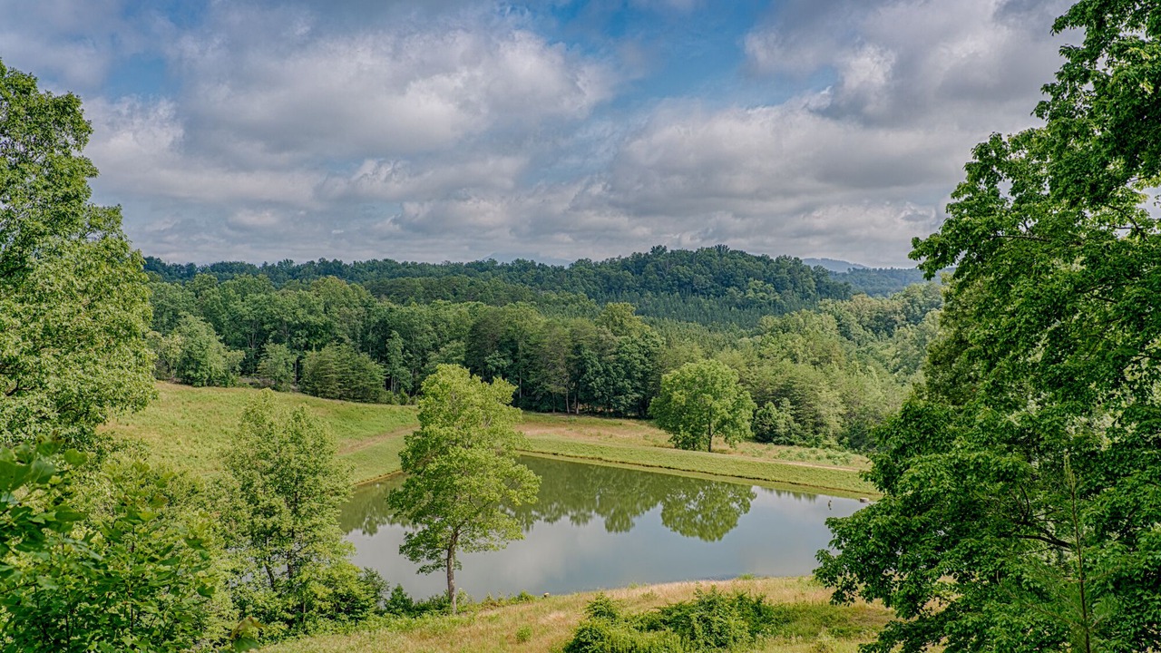 Photo of Others in Mill Spring