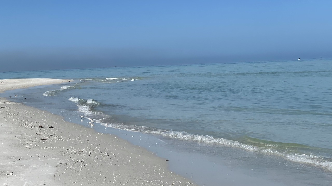 Photo of Others in Pinellas Point