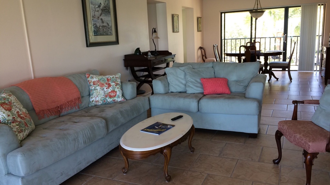 Photo of Livingroom in Pinellas Point