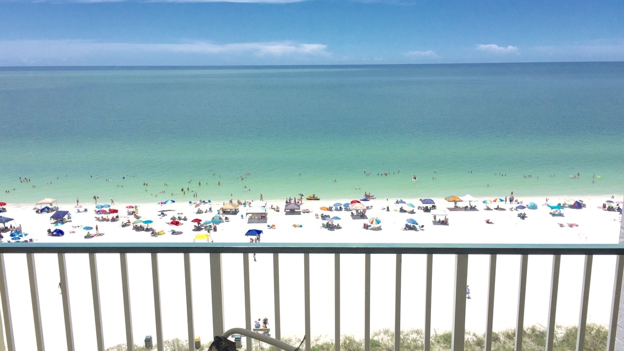 Photo of Others in Marco Island