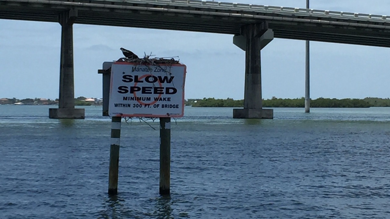 Photo of Others in Marco Island