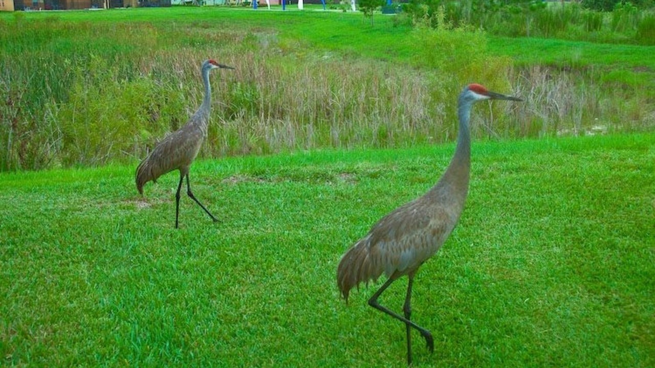 Photo of Others in Silver Creek