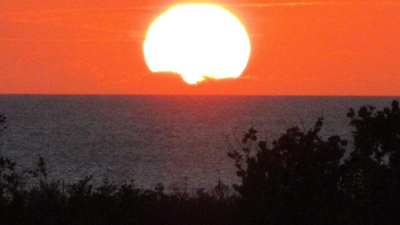 Photo of Others in Marco Island