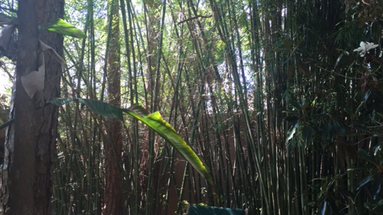Photo of Outdoor in Rural Estates