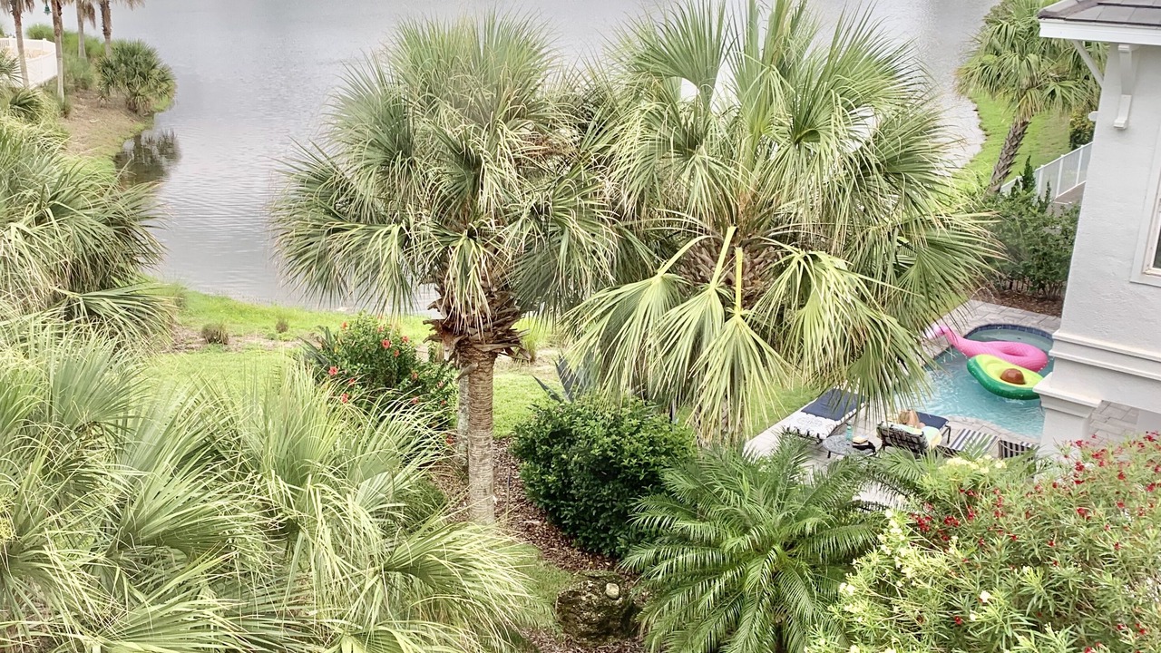 Photo of Outdoor in Palm Coast
