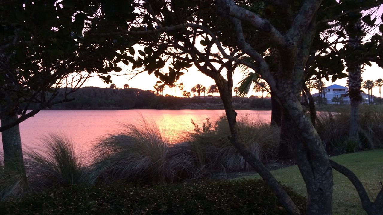 Photo of Outdoor in Palm Coast