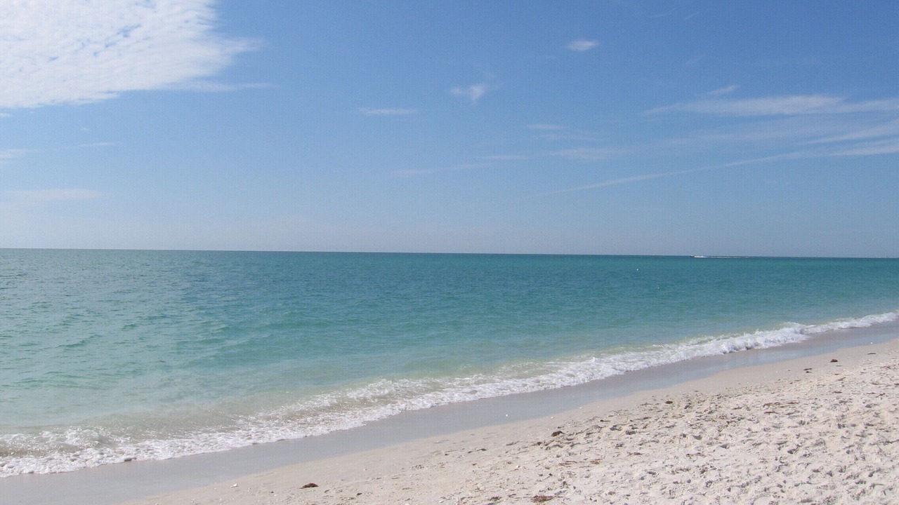 Photo of Others in Nokomis