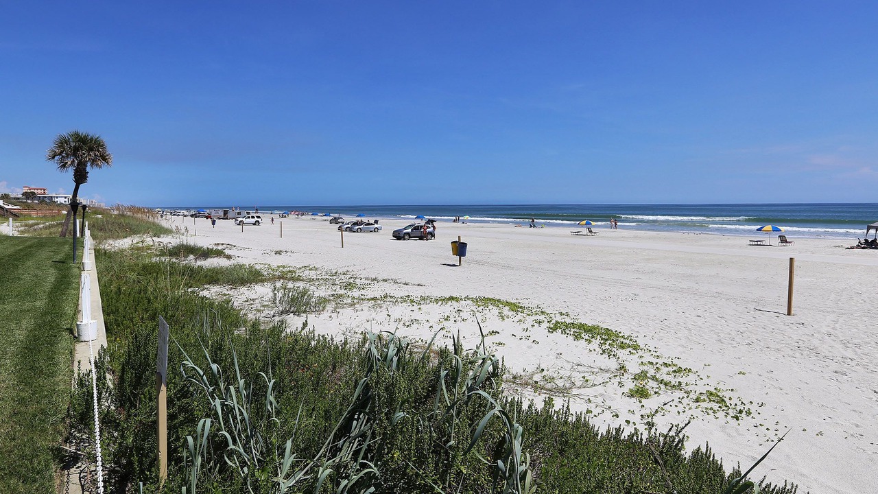 Photo of Others in New Smyrna Beach
