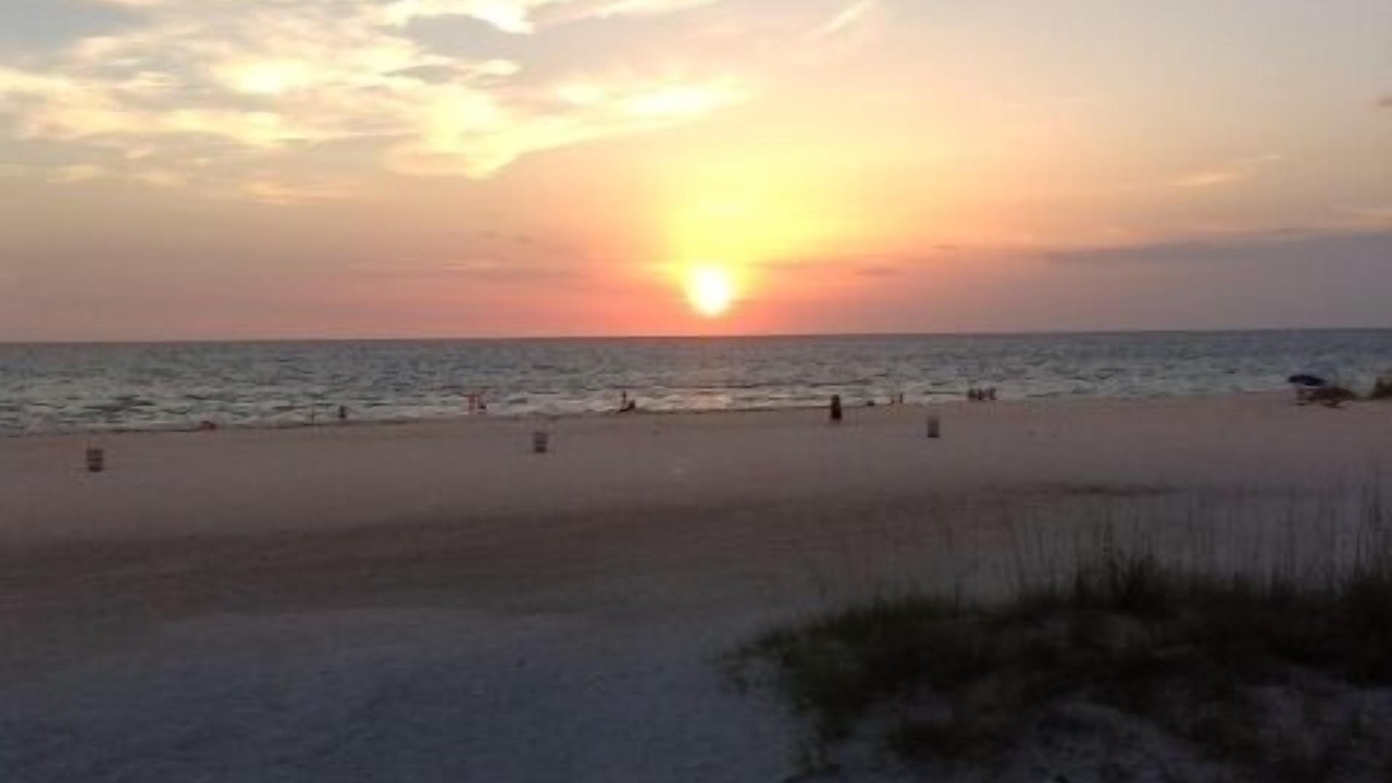Photo of Others in Clearwater Beach