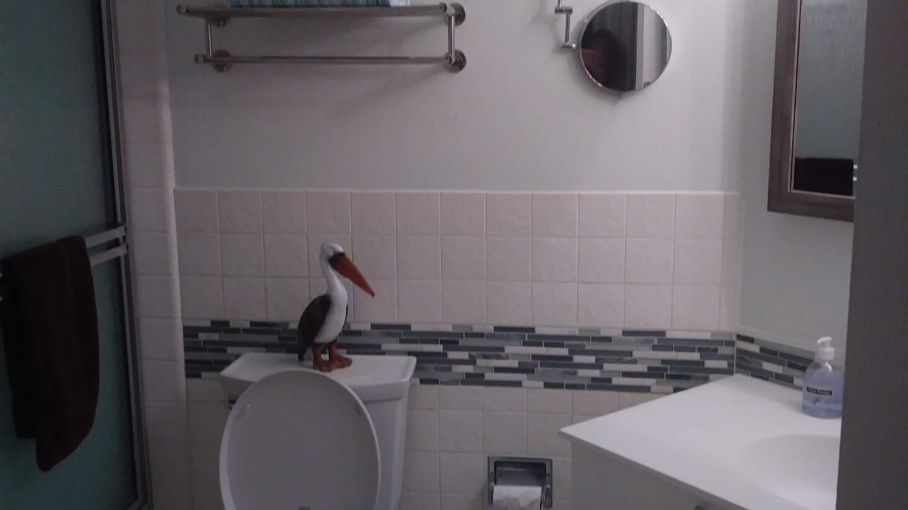 Photo of Bathroom in Sand Key