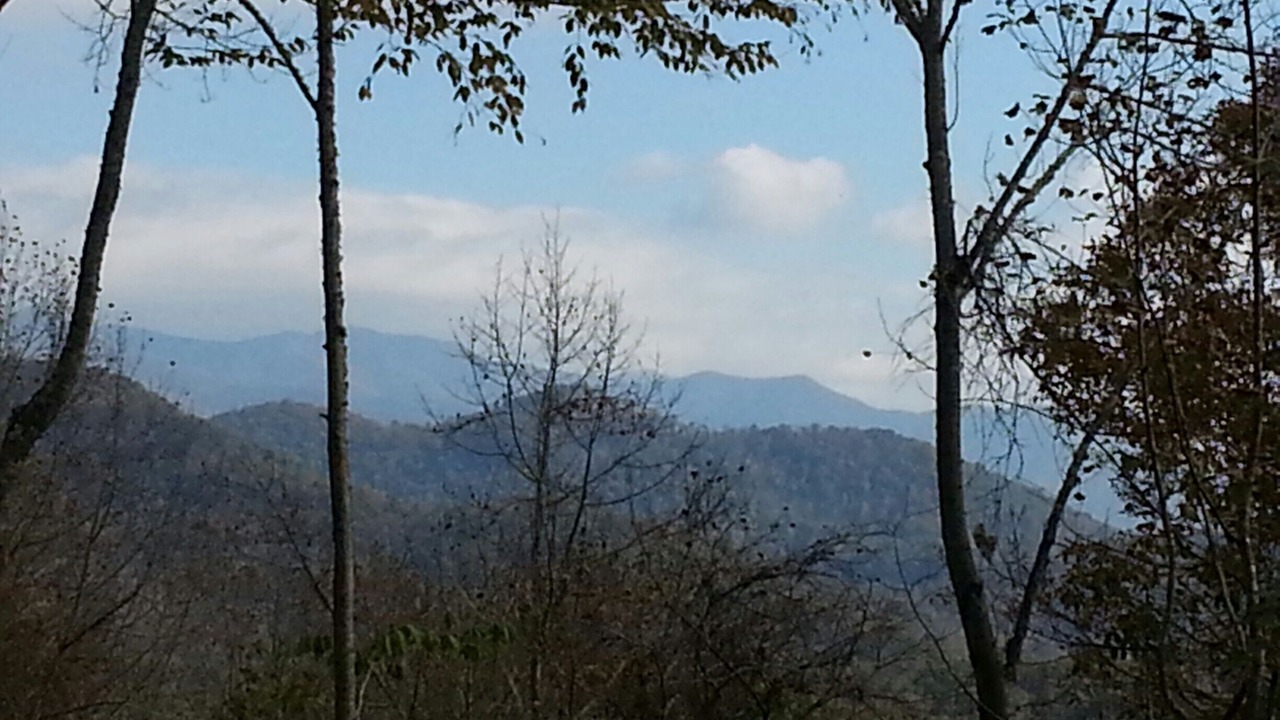 Photo of Outdoor in Sylva