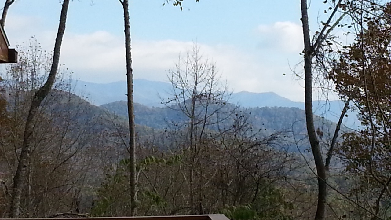 Photo of Others in Sylva