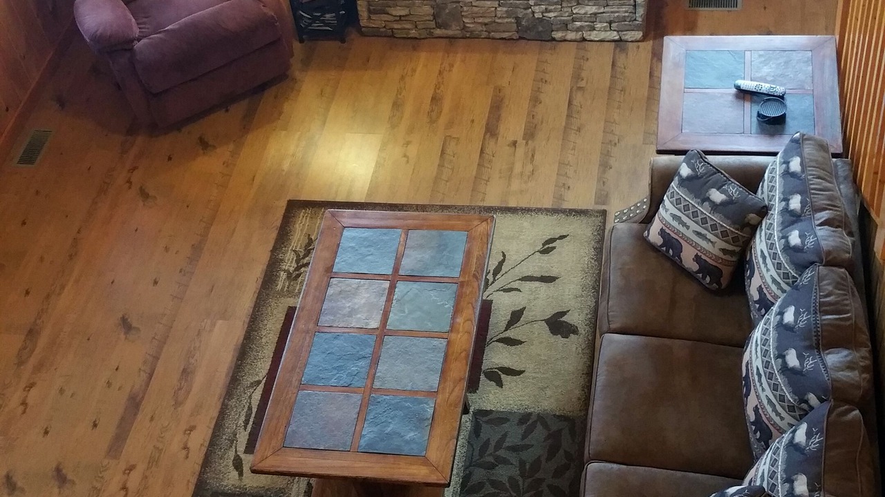 Photo of Livingroom in Sylva