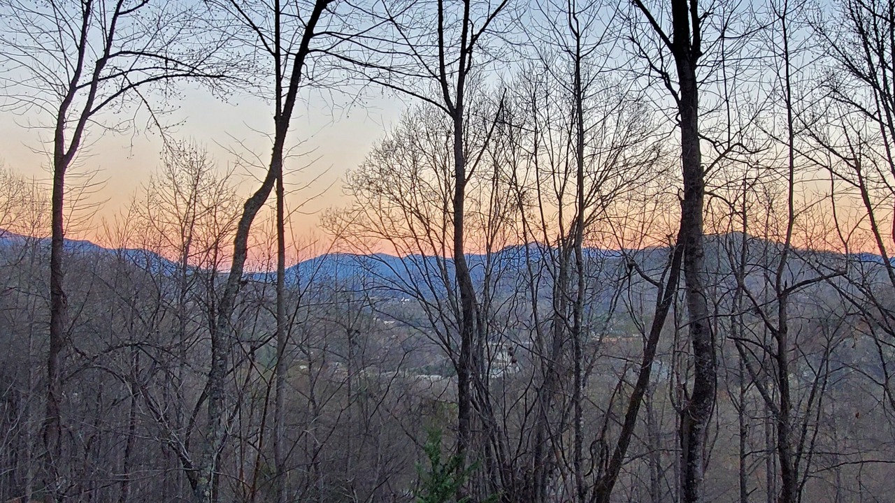 Photo of Others in Sylva
