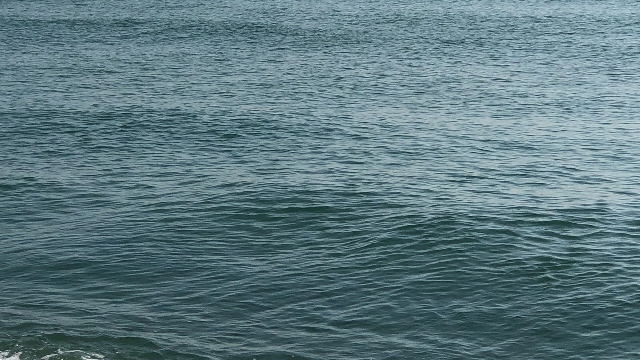 Photo of Others in Sunny Isles Beach