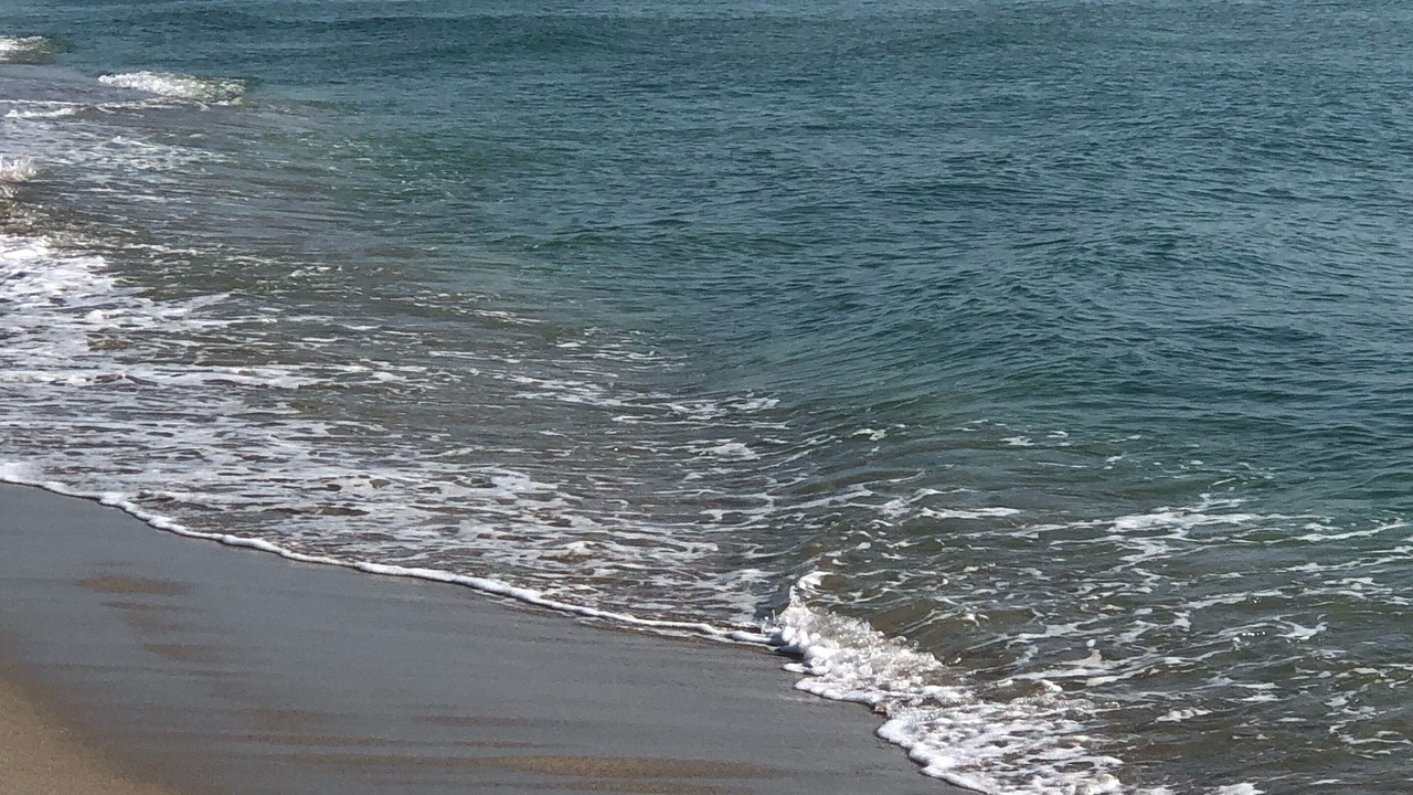Photo of Others in Sunny Isles Beach