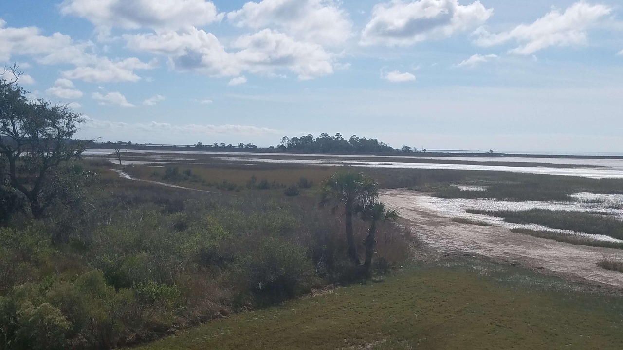 Photo of Others in Keaton Beach