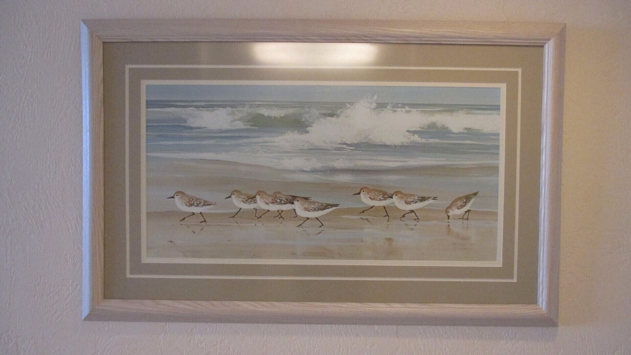 Photo of Others in Daytona Beach Shores