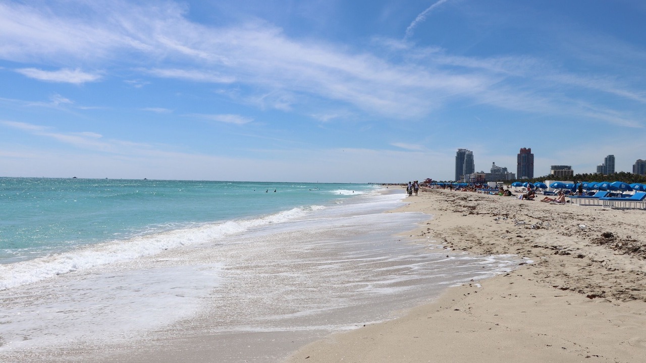 Photo of Others in Singer Island