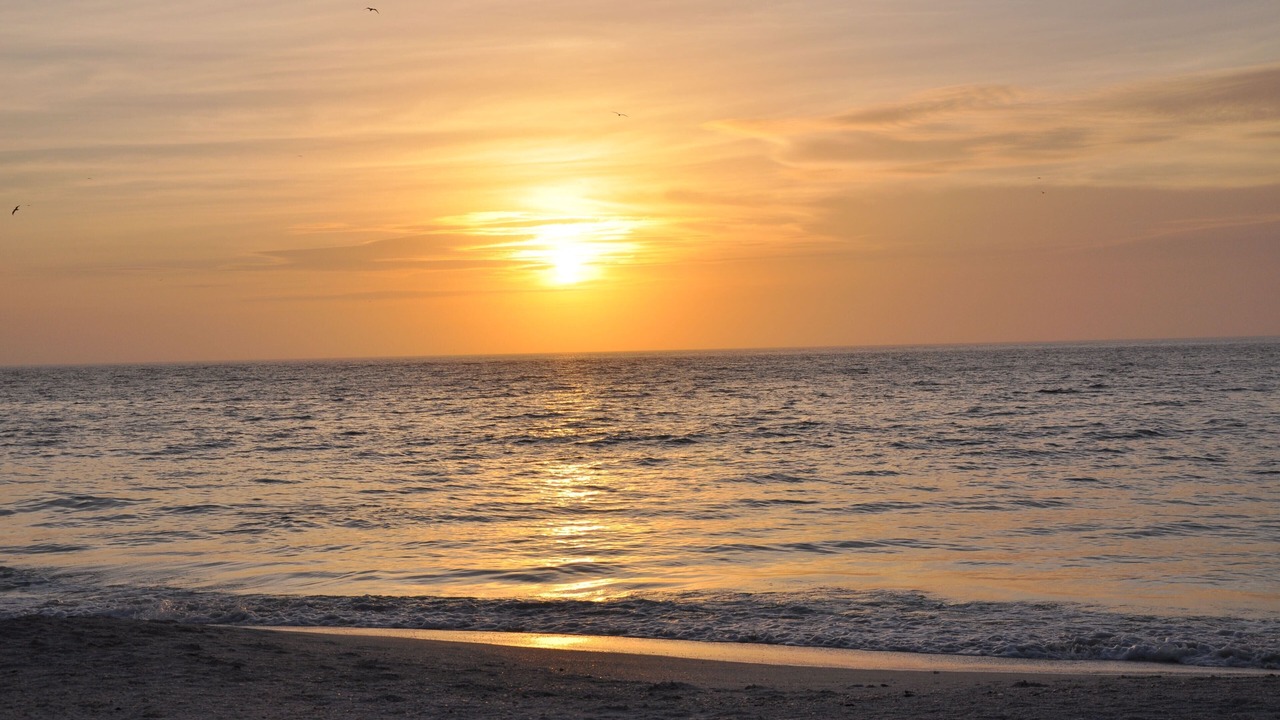 Photo of Others in Marco Island