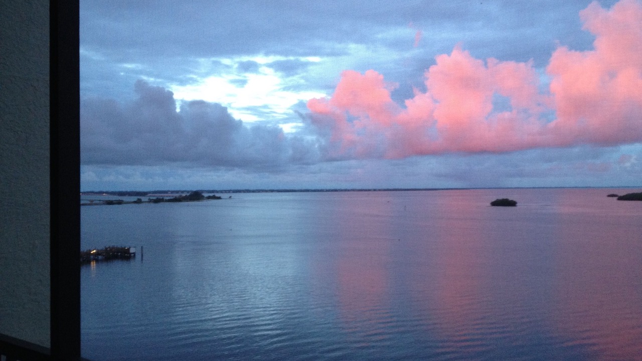 Photo of Others in Punta Rassa