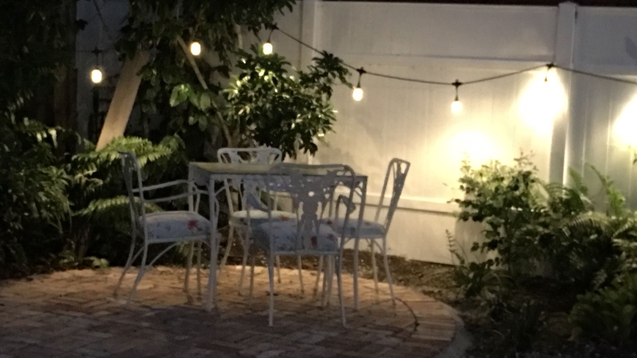 Photo of Outdoor in Flamingo Parks