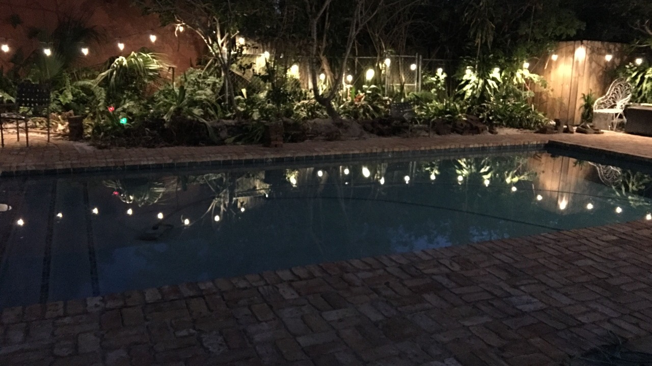 Photo of Outdoor in Flamingo Parks