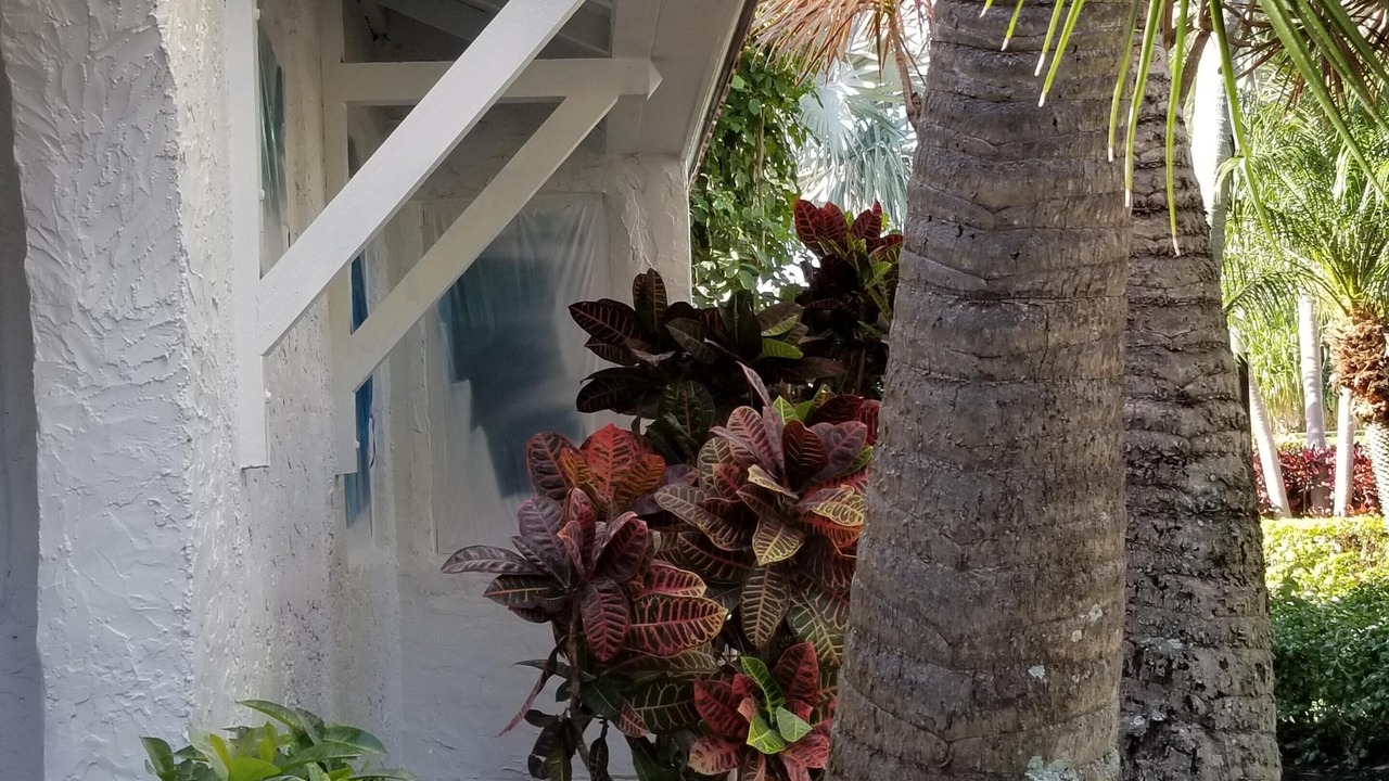 Photo of Outdoor in Delray Beach