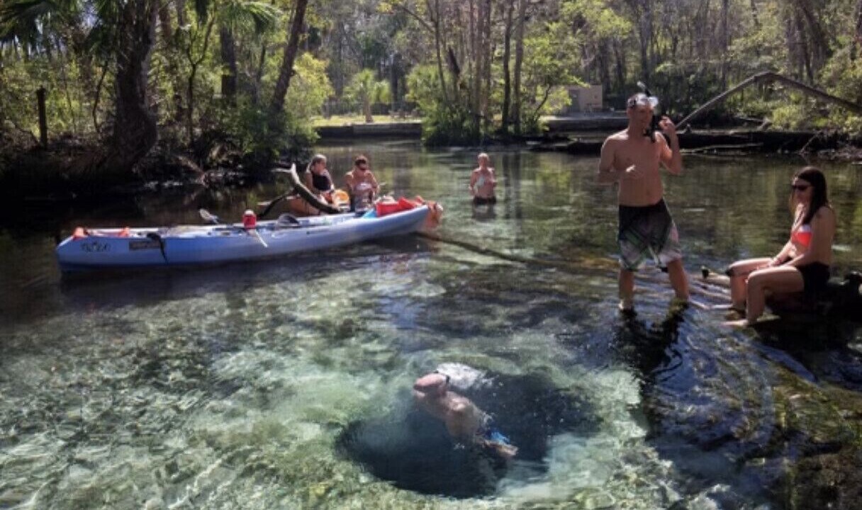 Photo of Others in Spring Hill