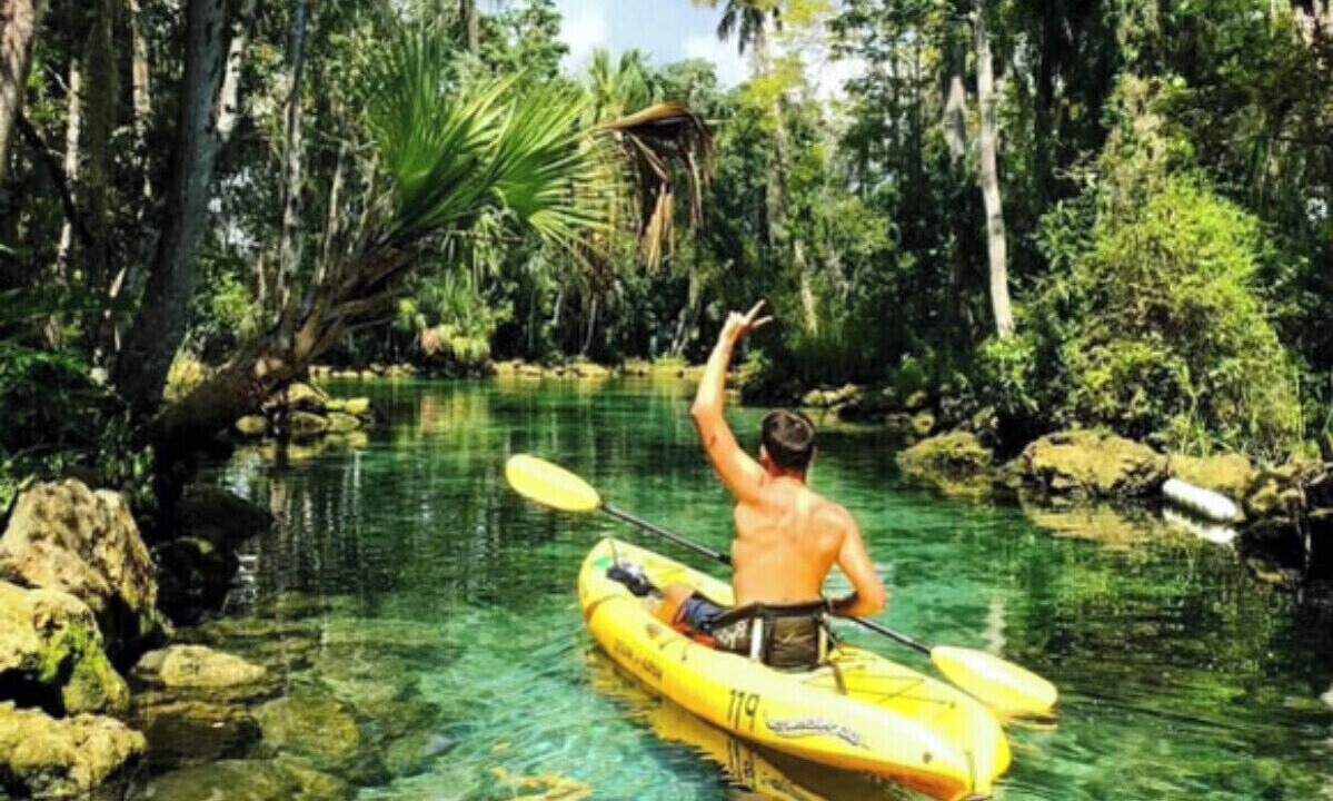 Photo of Others in Spring Hill