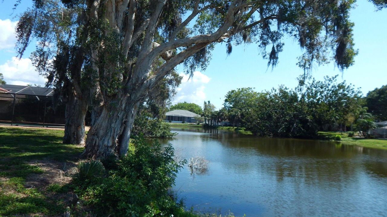 Photo of Outdoor in South Venice