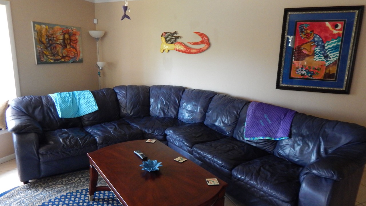 Photo of Livingroom in South Venice
