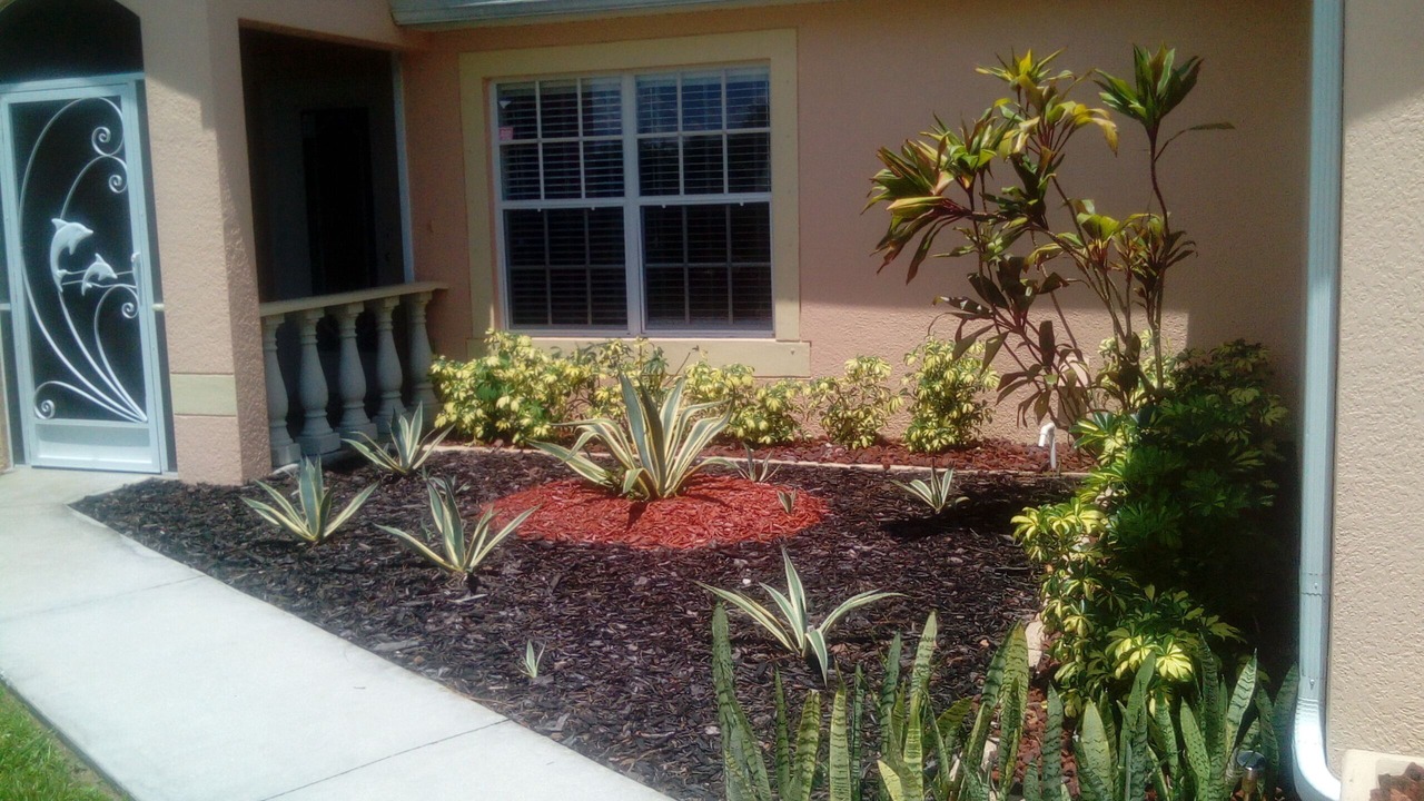 Photo of Outdoor in Joel