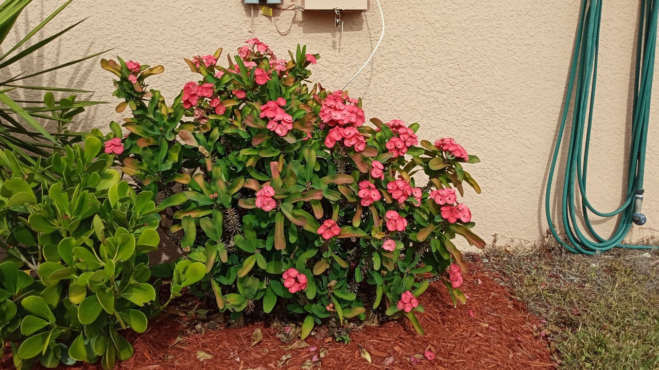 Photo of Outdoor in Joel