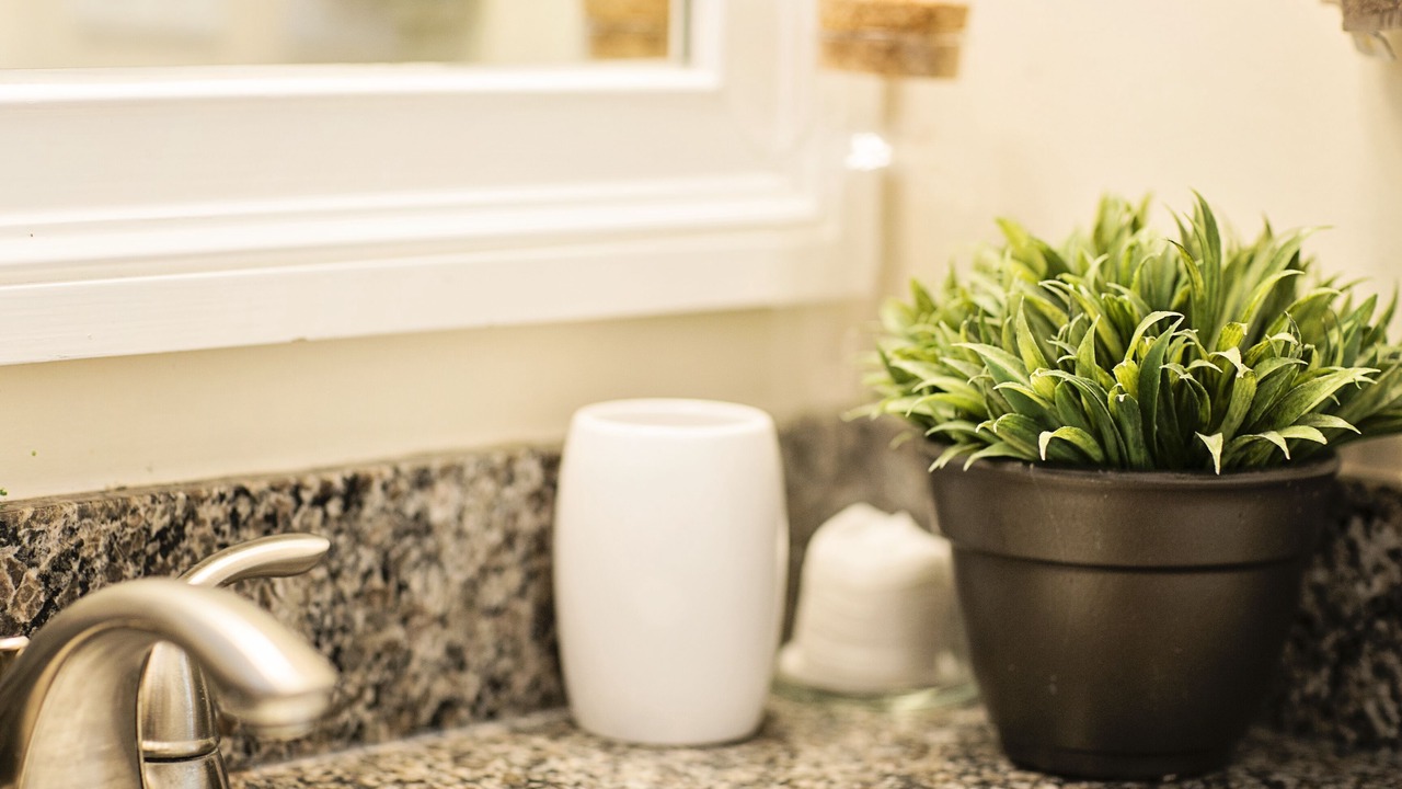 Photo of Bathroom in Naples Park