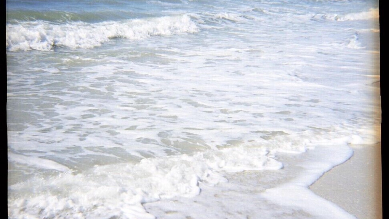 Photo of Others in Bonita Springs