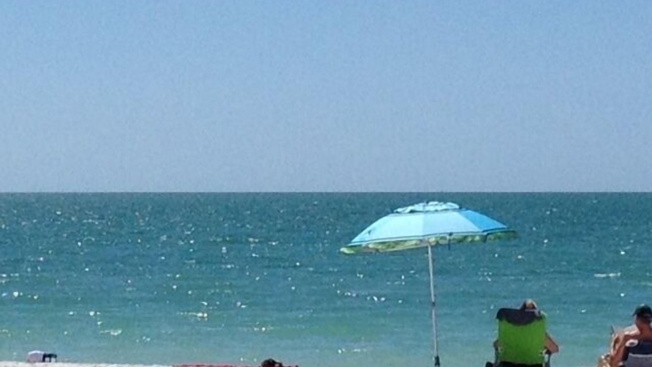 Photo of Others in Bonita Springs