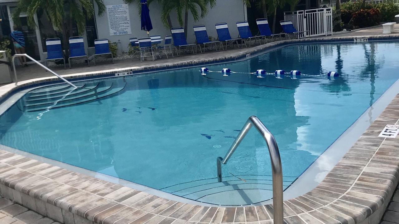 Photo of Outdoor in Madeira Beach