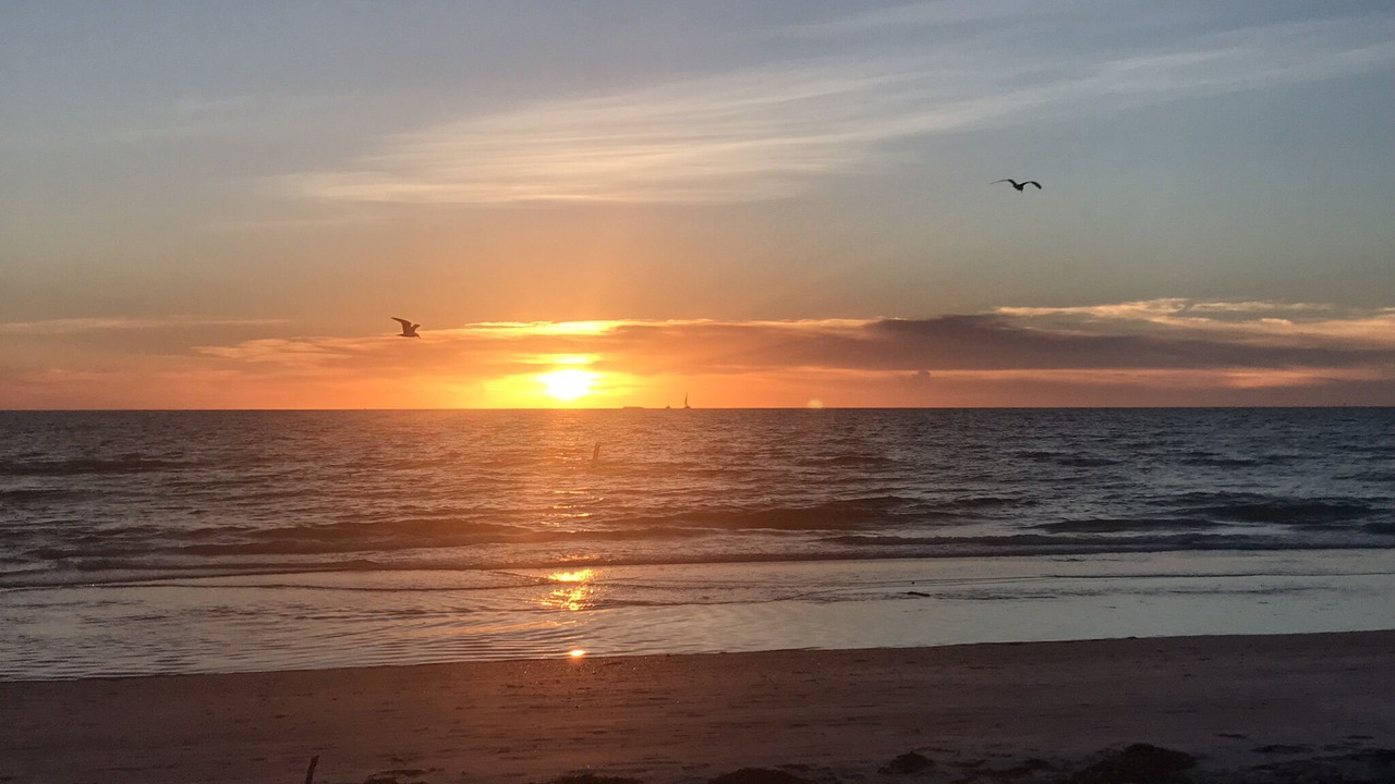 Photo of Others in Sand Key